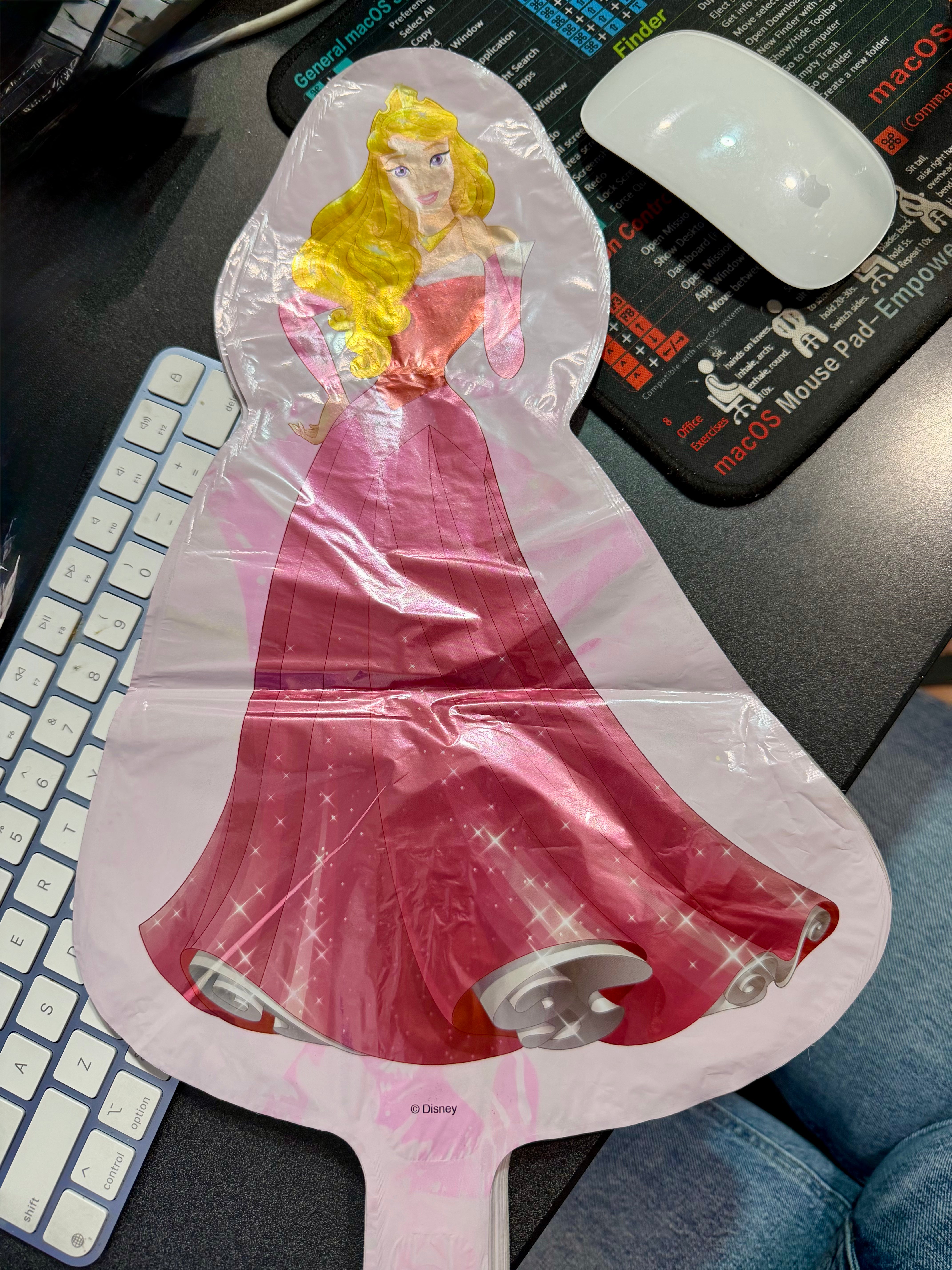 14" Mini Princess: Aurora