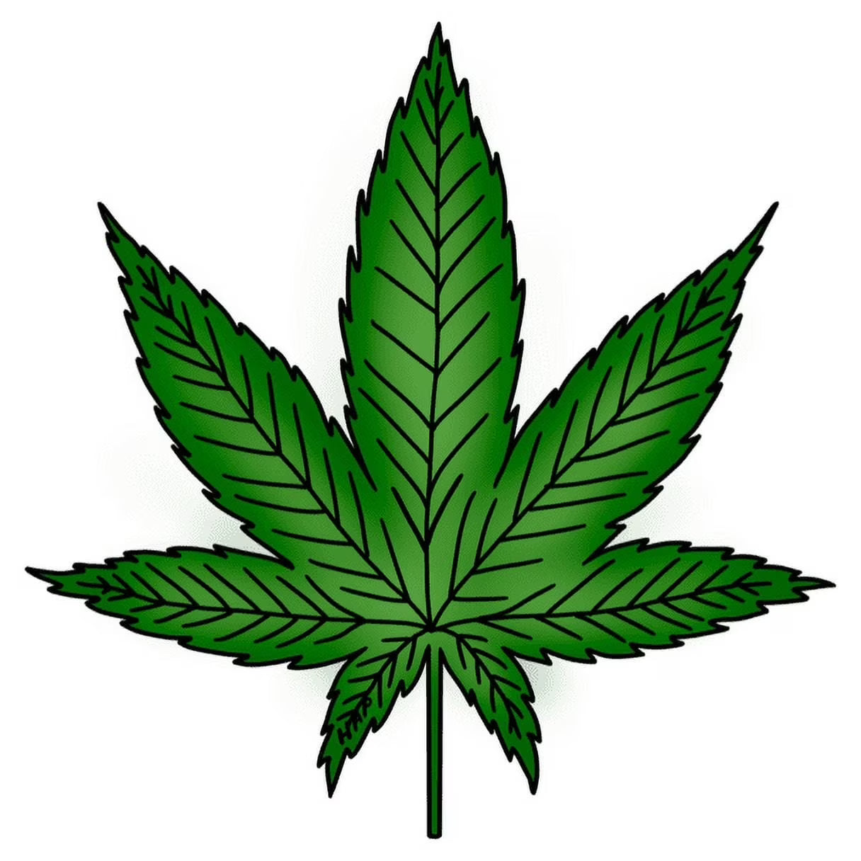 28" Hemp Leaf