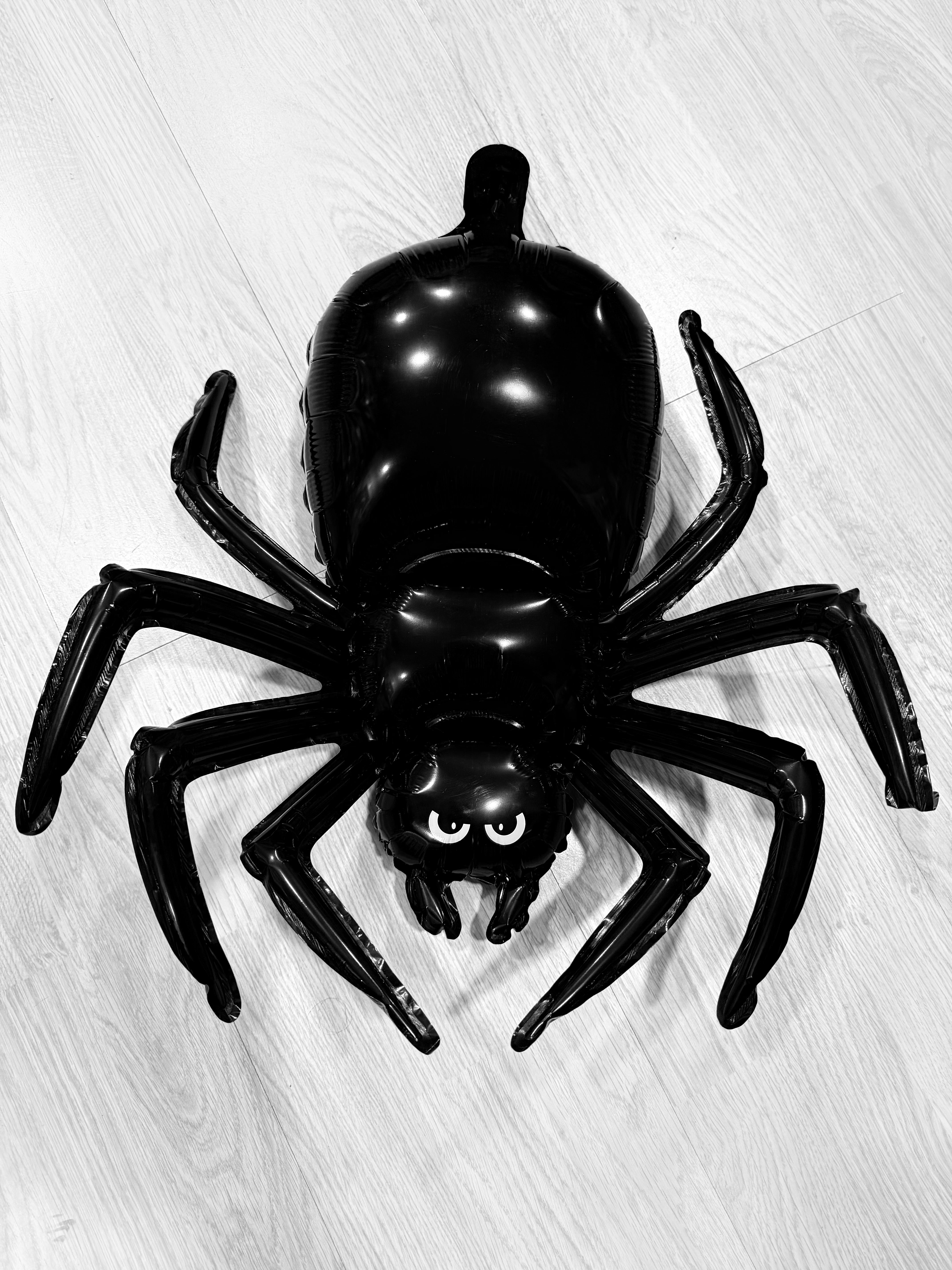 18" Black Spider