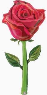 60" Rose (Air and Helium)