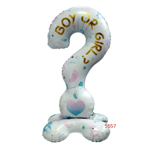Gender Reveal Question Stand