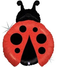 Mini Lady Bug