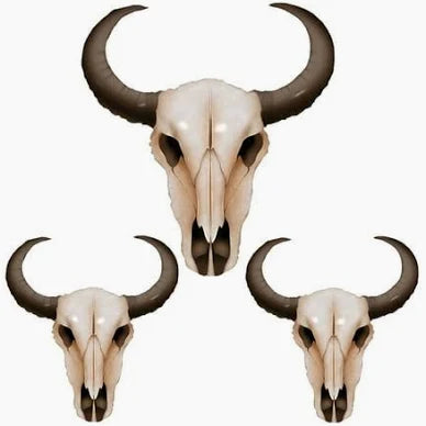 37" Large Longhorn Bullhead 1ct
