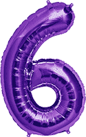 34” Number 6 Purple Northstar Brand